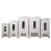 SHP-80D Biochemical Incubator 